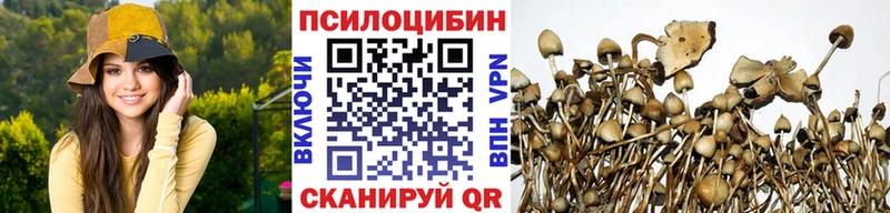 продажа наркотиков  Радужный  Псилоцибиновые грибы мицелий 