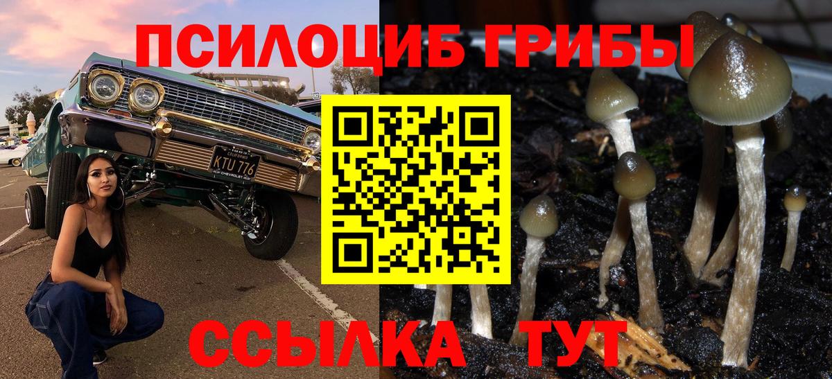 Галлюциногенные грибы мухоморы Радужный