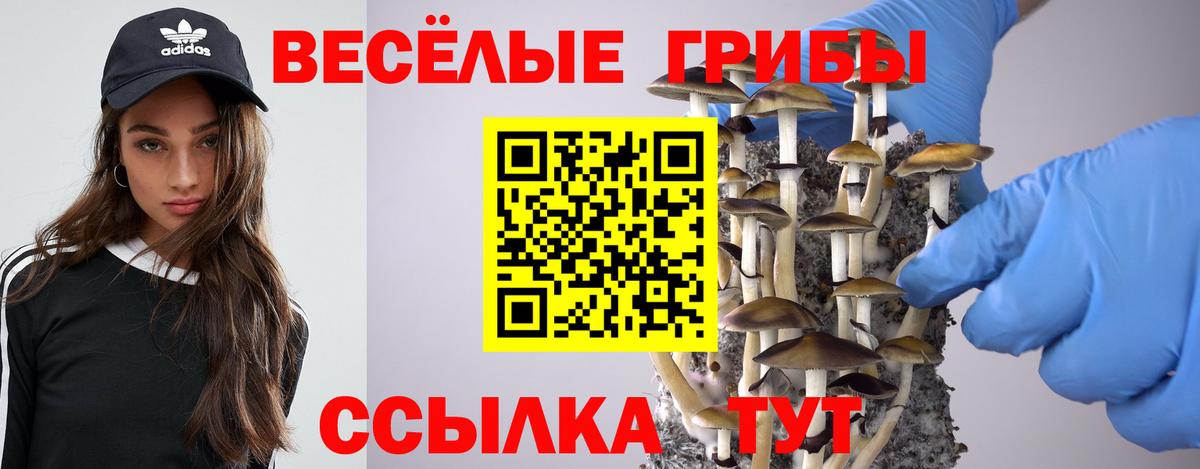 А ПВП Радужный
