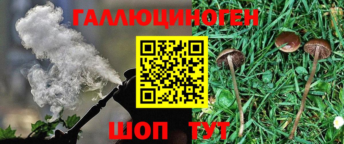 Галлюциногенные грибы MAGIC MUSHROOMS  Галлюциногенные грибы ЛСД  Вход с VPN  Радужный 